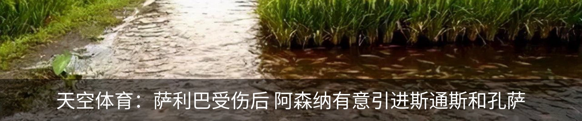 资讯中心
