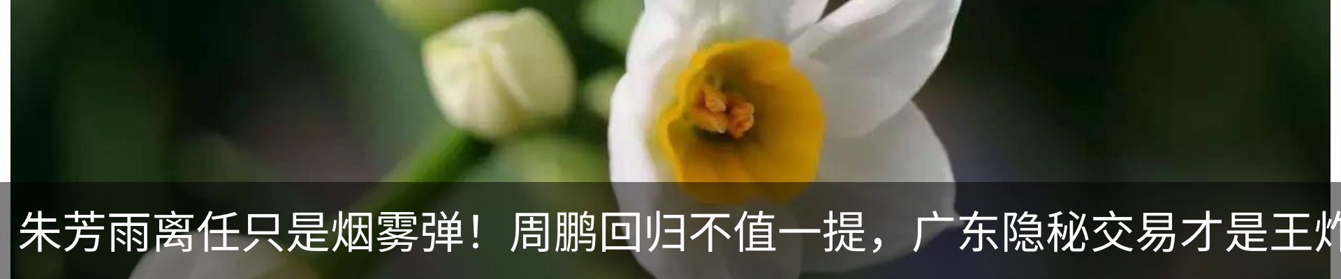 资讯中心