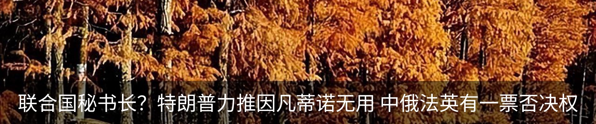 资讯中心