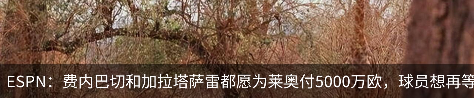 资讯中心